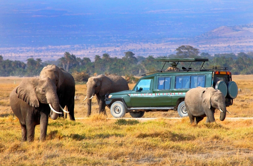 4 Days 3 Nights Explore the Magnificent of Masai Mara & Lake Nakuru National Park 2