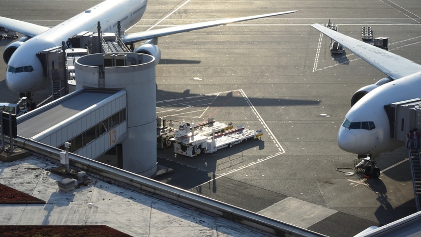 10-hour private charter in Osaka, Alphard 2