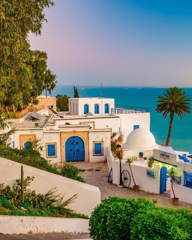 Tunis Cruise Shore Excursion City Tour Experience 2