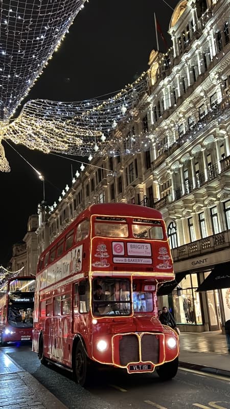 The Original Afternoon Tea London Sightseeing Bus Tour 3