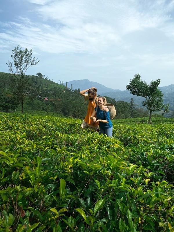The Sri Lankan Experience –07Days 1