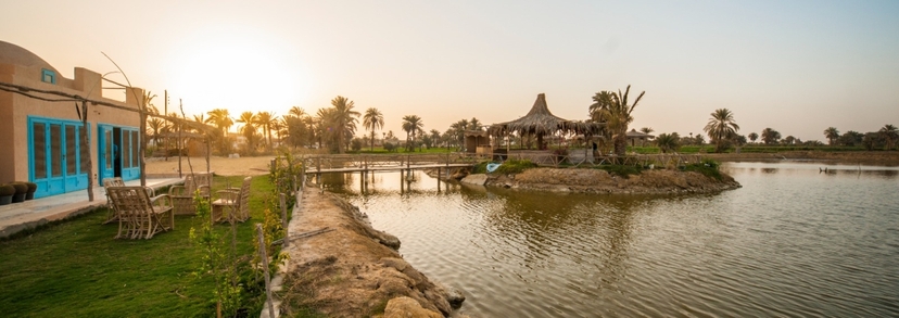 Siwa Safari: An Oasis Odyssey 3