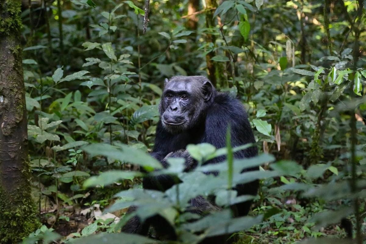 Historic Sierra Leone – 6 Days Historic Sierra Leone – 6 Days