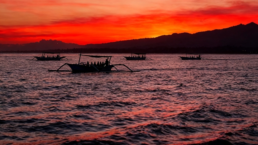 Bali: Lovina Sunrise Dolphin Watching Small-Group Boat Tour 2