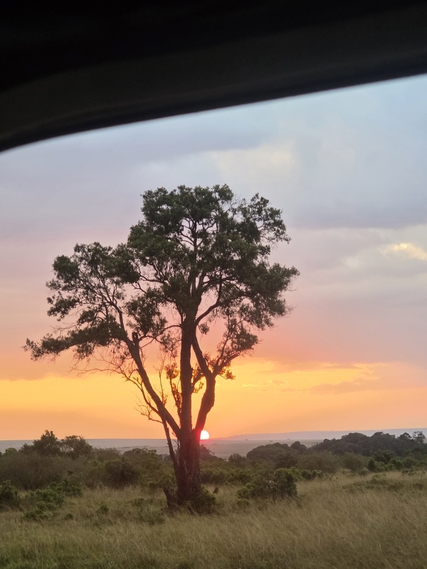 3 Days Mara Choroa Safari 2