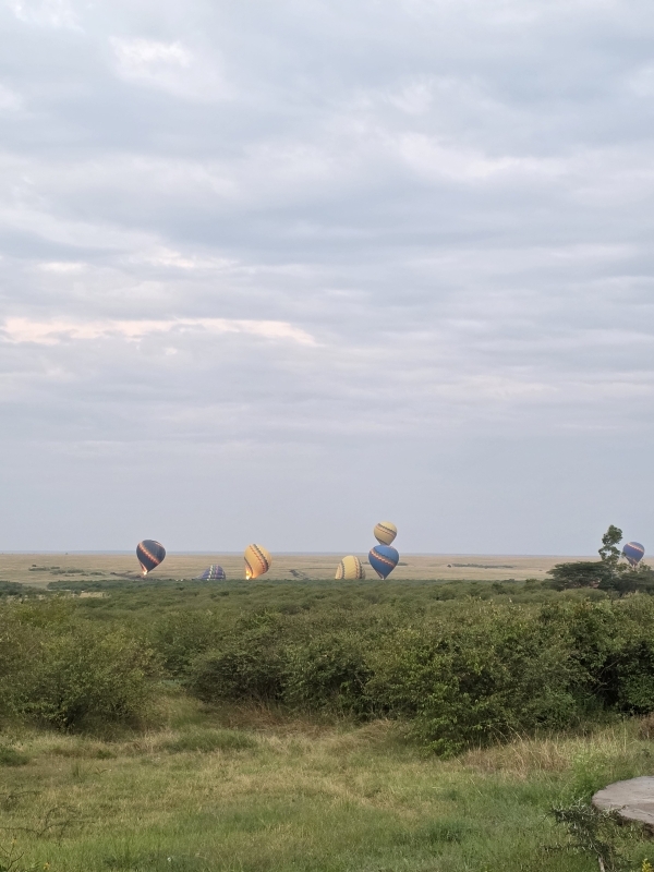3 Days Mara Choroa Safari 3