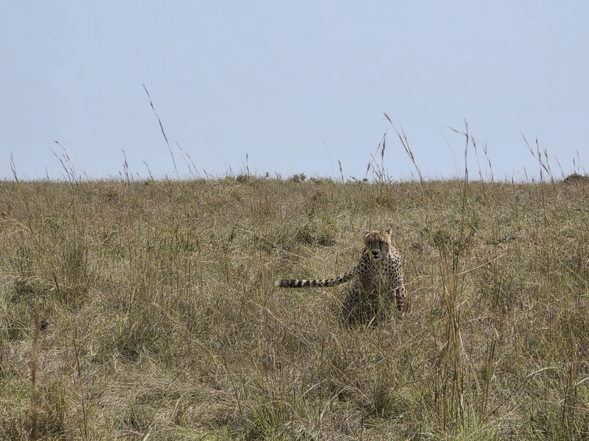 3 Days Mara Choroa Safari 4