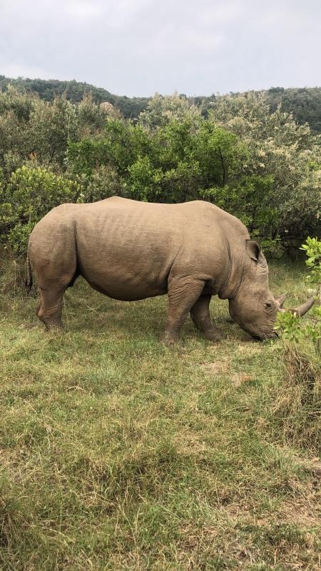 7 Days Educational Tour- Nairobi, Nyahururu, Aberdare, Naivasha Experience 7 Days Educational Tour- Nairobi, Nyahururu, Aberdare, Naivasha Experience