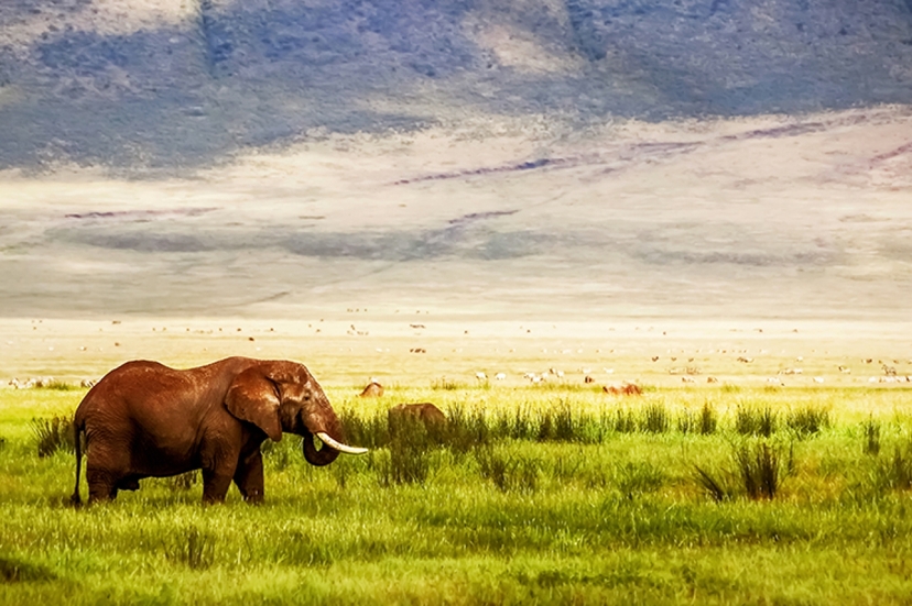 4-Day Northern Tanzania Budget Joining Safari 4