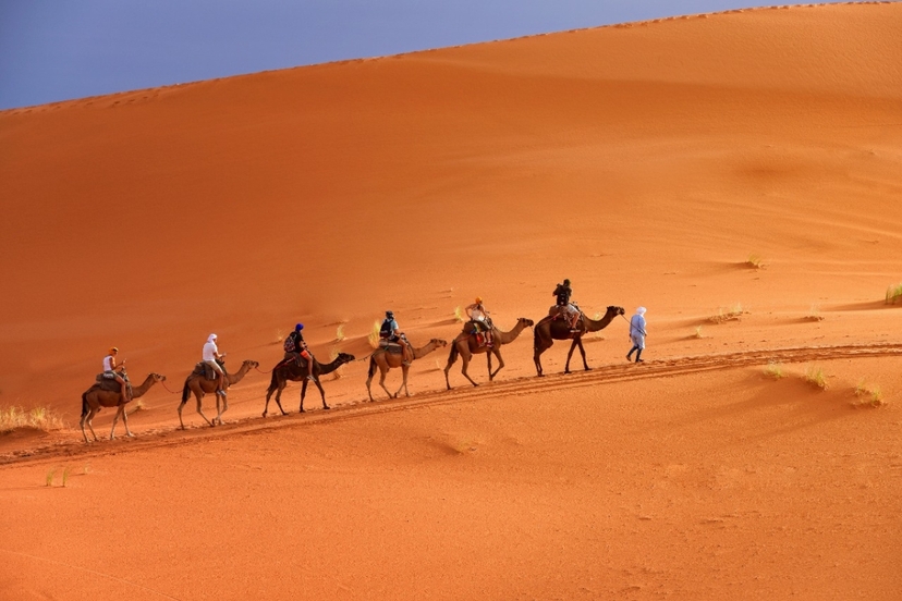 Signature Morocco Tour: Ultimate 12-Day Itinerary for First-Time Travelers 2