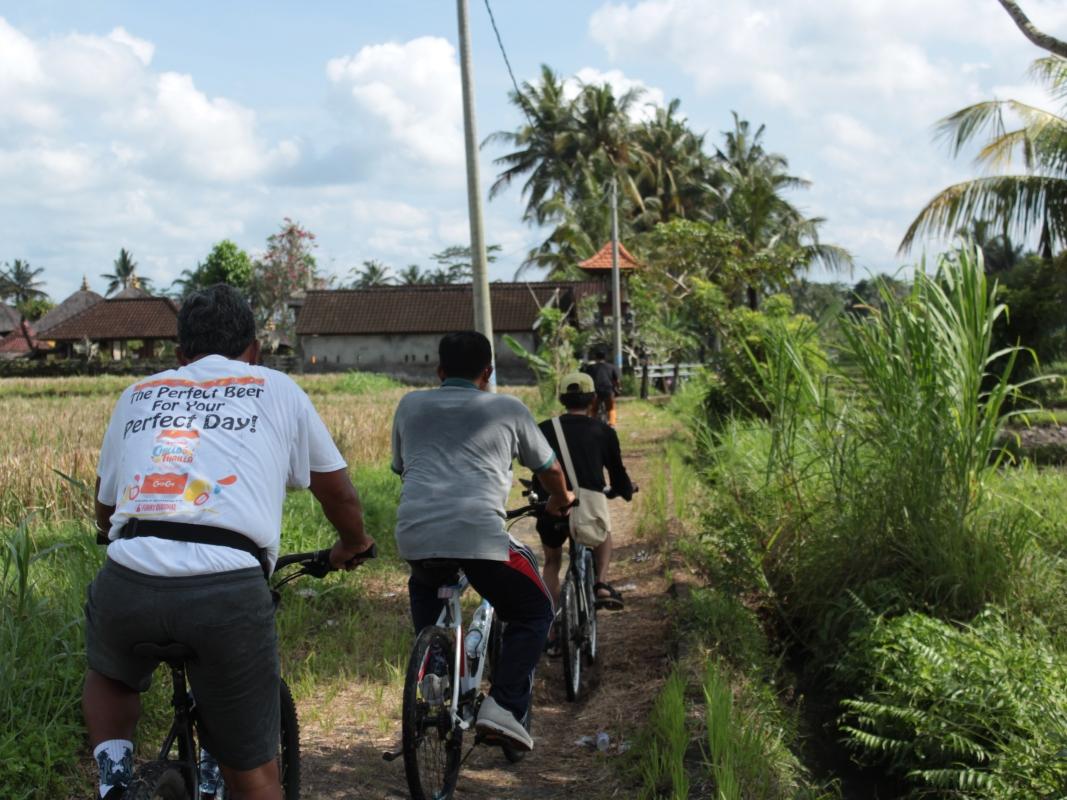 Ubud Eco Cycling Tour with Rice Fields, Villages & Local Lunch Ubud Eco Cycling Tour with Rice Fields, Villages & Local Lunch