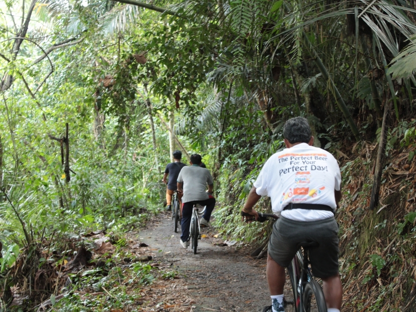 Ubud Eco Cycling Tour with Rice Fields, Villages & Local Lunch 2