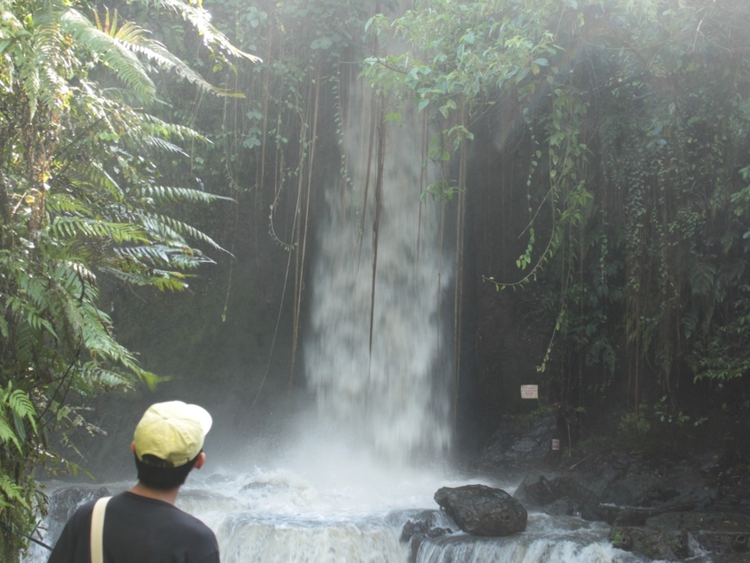 Ubud Eco Cycling Tour with Rice Fields, Villages & Local Lunch 4