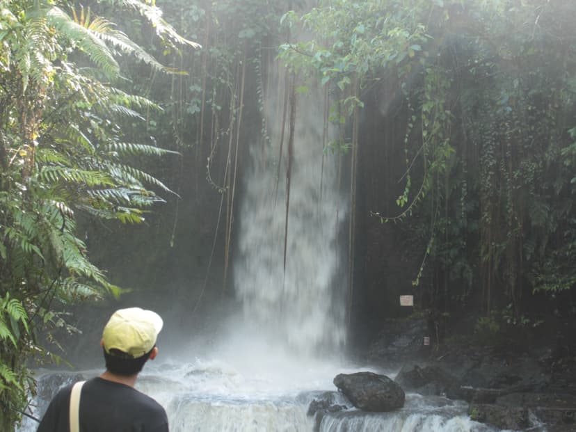 Ubud Eco Cycling Tour with Rice Fields, Villages & Local Lunch 4