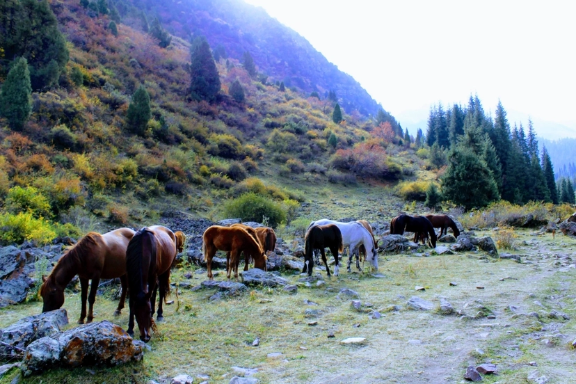 2-Day tour Nature Escape: Koltor Lake & Chon-Kemin Valley 4