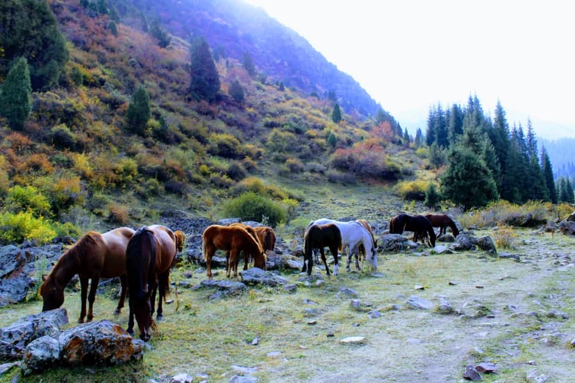 2-Day tour Nature Escape: Koltor Lake & Chon-Kemin Valley 4