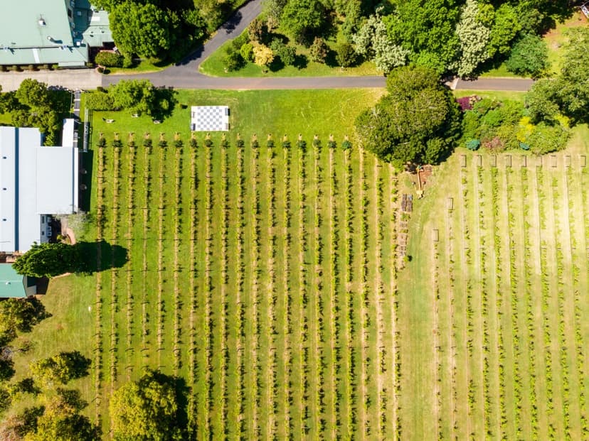 Tamborine Mountain - Winery Tour with Gourmet Lunch - From Brisbane or the Gold Coast 2