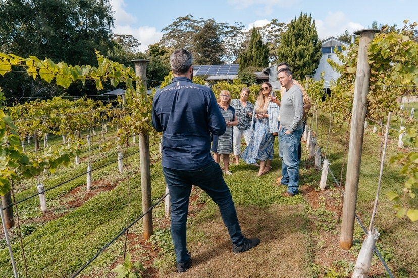 Tamborine Mountain - Winery Tour with Gourmet Lunch - From Brisbane or the Gold Coast 4