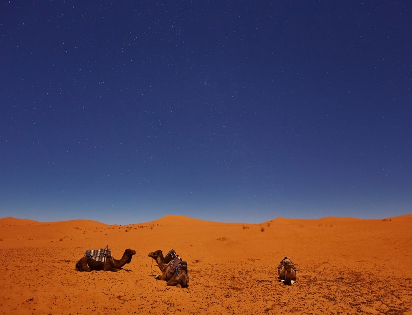 Agafay Desert Camel Riding Experience: 1-Hour Adventure from Marrakech 2