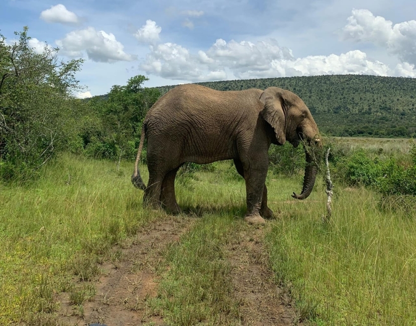 Akagera National Park Safari with Scenic Coffee Stop & Lake Ihema Boat Cruise 2