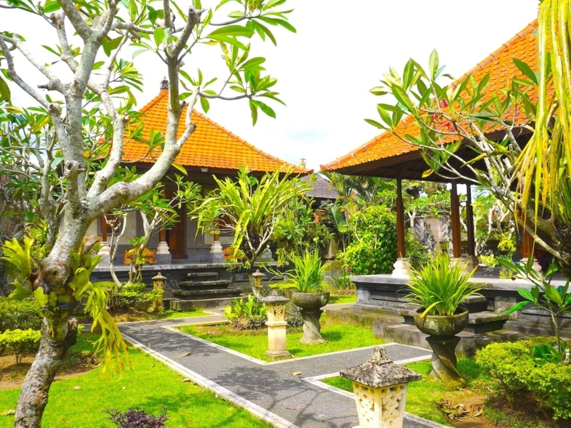 Bali Rural Village Tour with Cooking Demonstration & Lunch 3