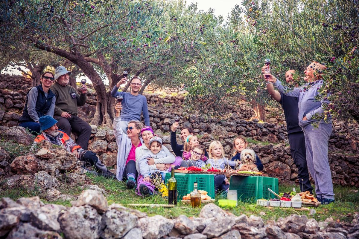 Olive Oil Tasting at the Mykonian Farm Olive Oil Tasting at the Mykonian Farm