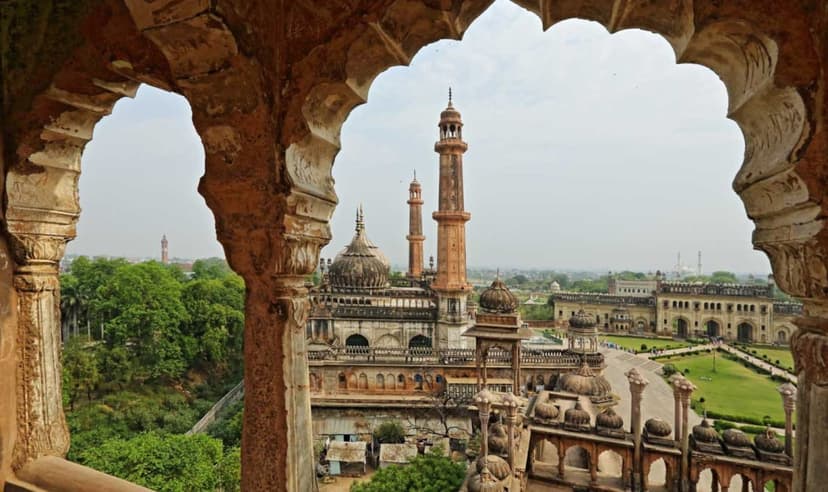 India Golden Triangle Tigers and Train Tour Experience 4