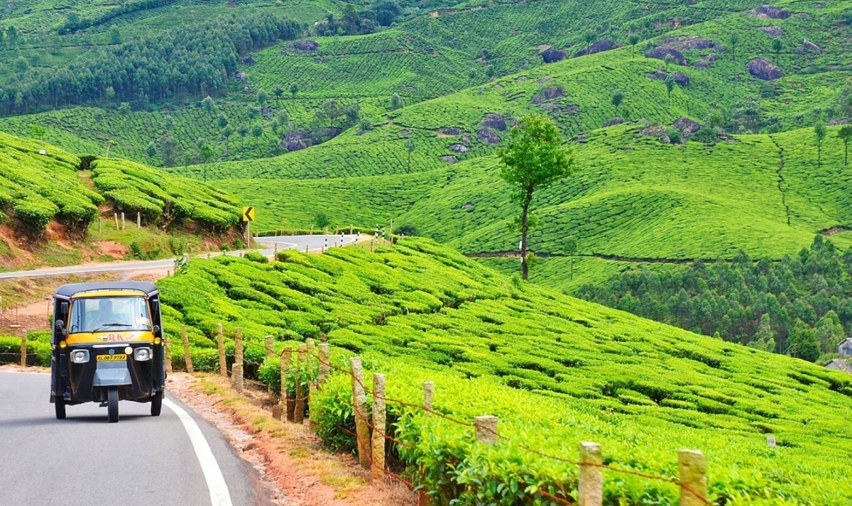 Kerala Backwaters & Wildlife Experience 1