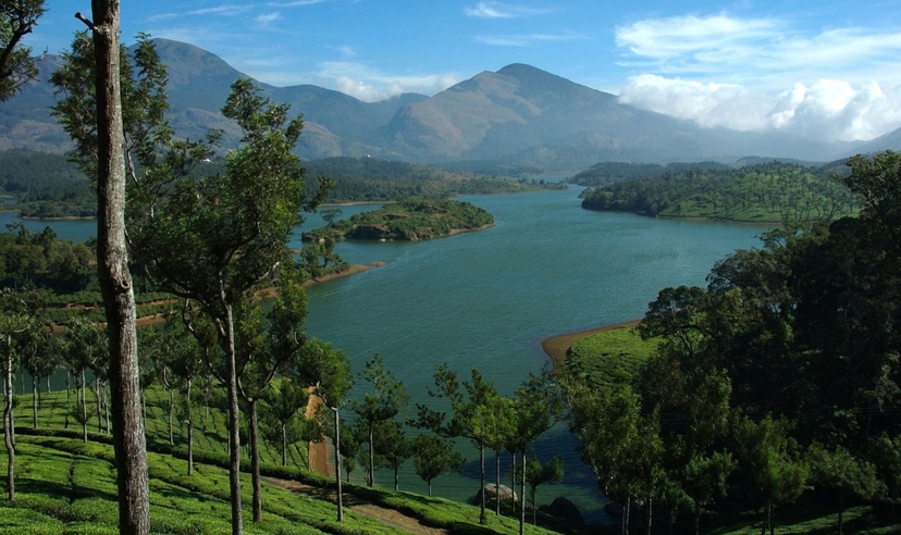 Kerala Backwaters & Wildlife Experience 2