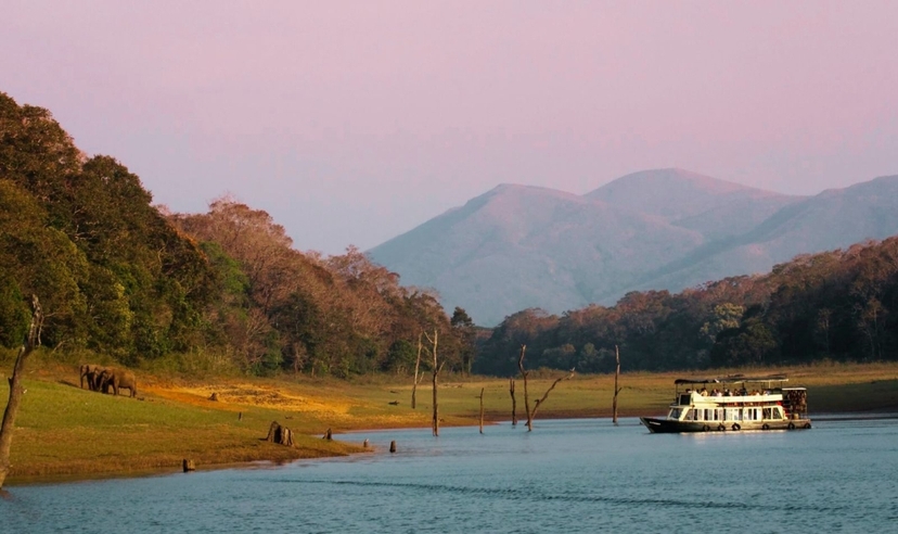 Kerala Backwaters & Wildlife Experience 3