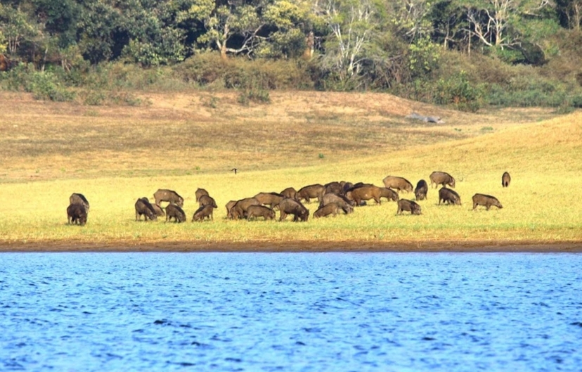 Kerala Nature & Coastal Delight 3