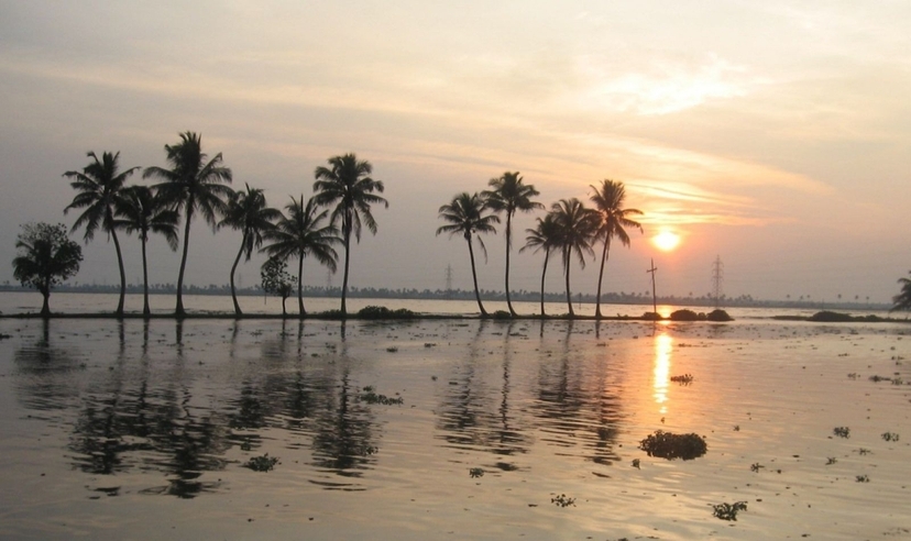 Kerala Backwaters and Exotic Beaches 4