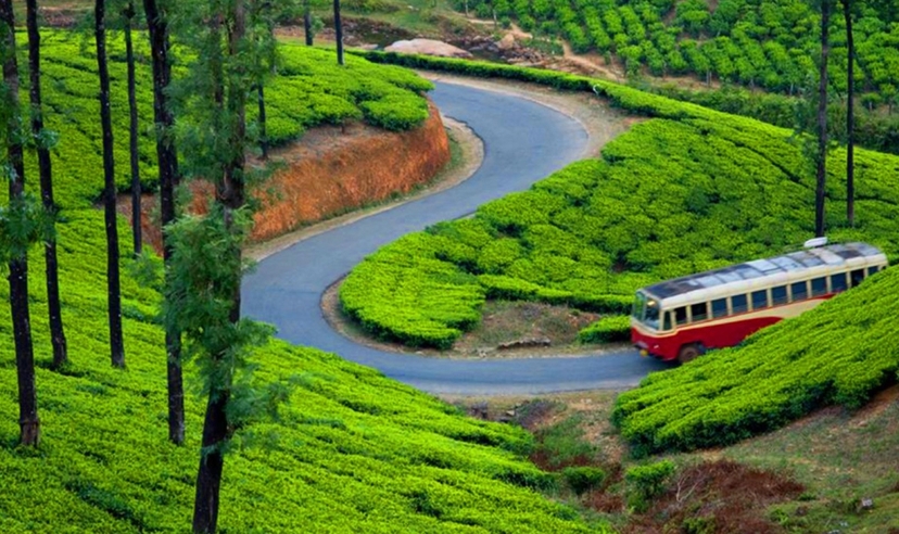 Kerala, Kochi to Periyar Experience 4