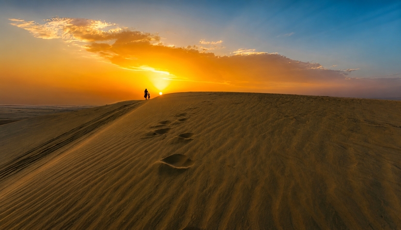 Half Day Desert Safari Qatar Adventure | Dune Bashing & Inland Sea Tour-Doha 3