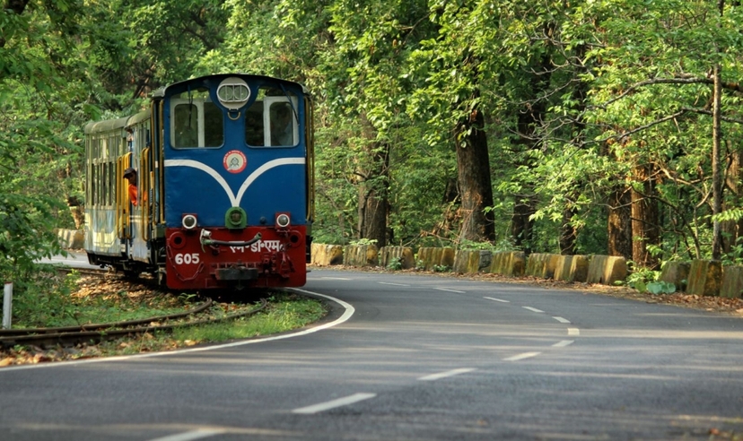 Northeast India, Sikkim & Darjeeling Experience 3