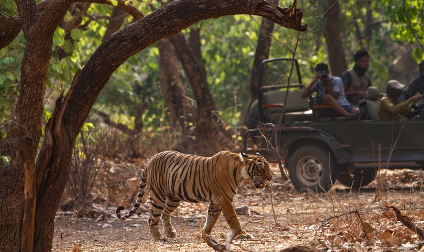 North India Tour with Goa 2