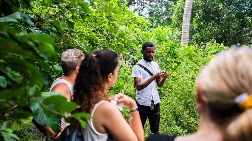Zanzibar: Jozani Forest with Red Colobus Monkey & Transfer 4