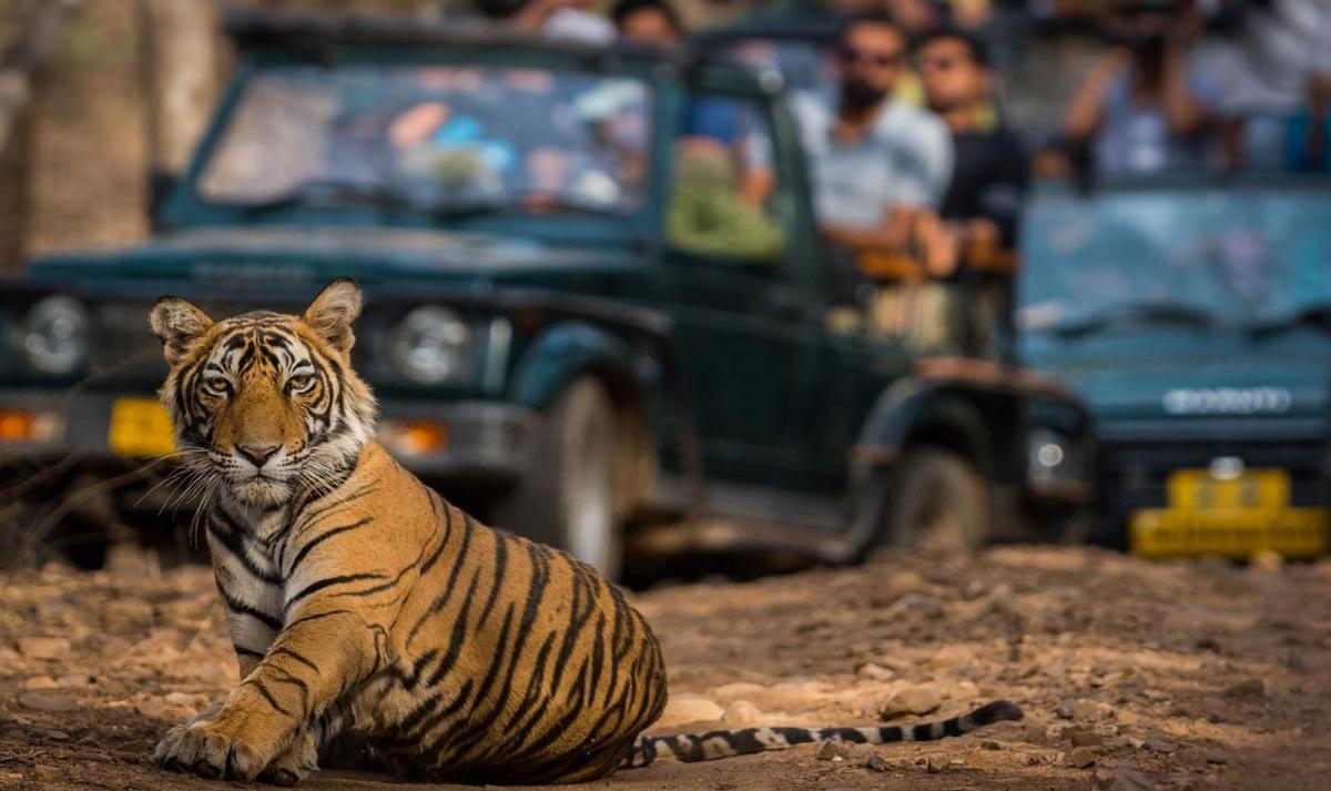 Luxury Golden Triangle Tour with Ranthambore Luxury Golden Triangle Tour with Ranthambore