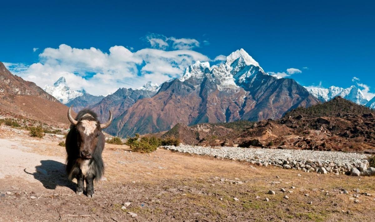 Leh Ladakh - Best of Tibet Experience Leh Ladakh - Best of Tibet Experience