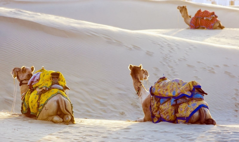 11 Days Rajasthan Trip 2