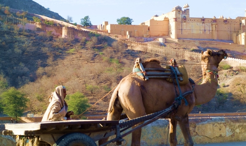 Golden Triangle with Varanasi and Bodhgaya Tour 4