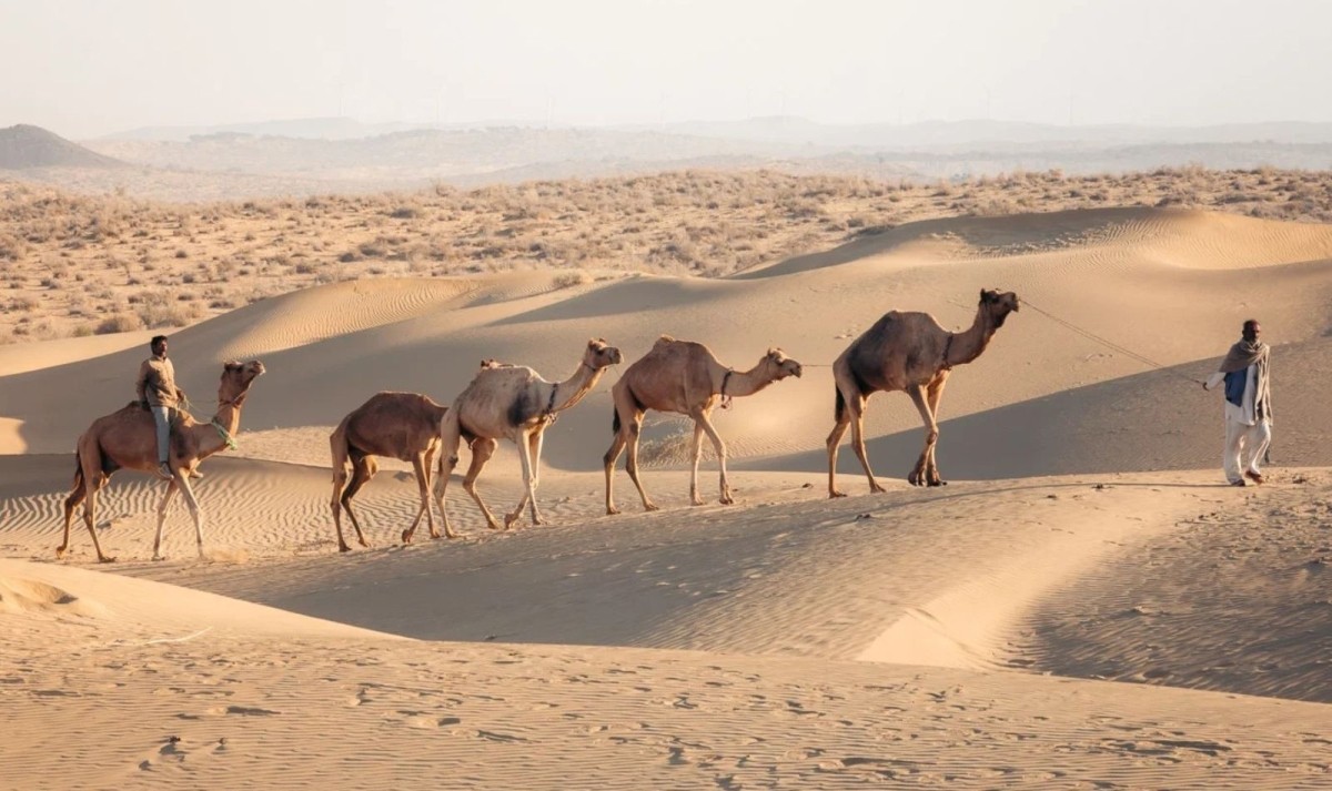 Best of Rajasthan Tour 1