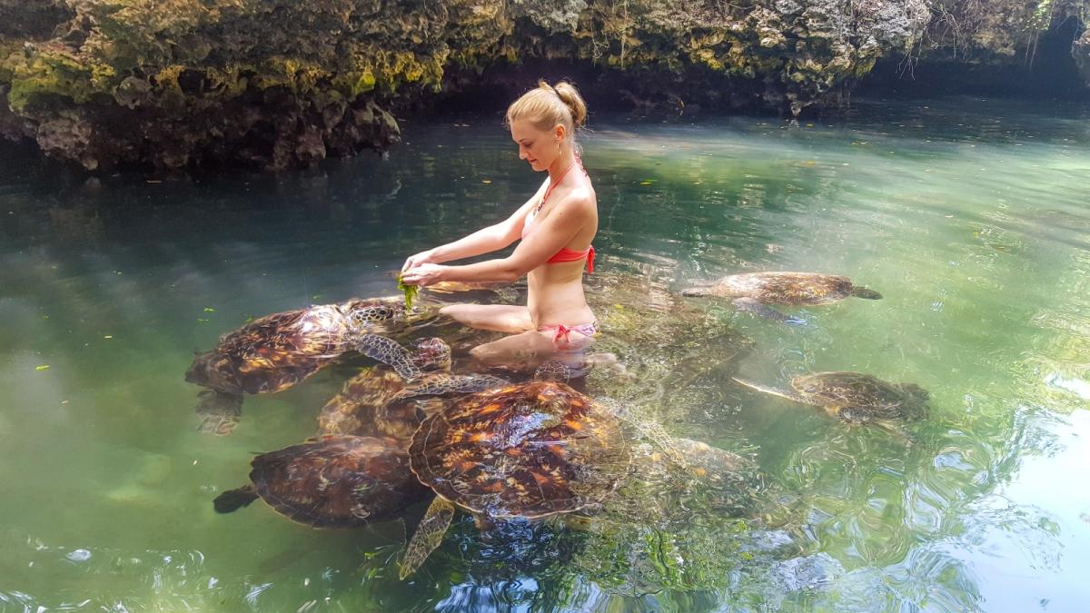 Zanzibar: Nungwi Turtle Aquarium Guided Half-Day Trip Zanzibar: Nungwi Turtle Aquarium Guided Half-Day Trip