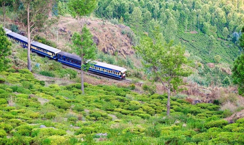 Grand Southern India, Karnataka, Tamil Nadu & Kerala Experience 4