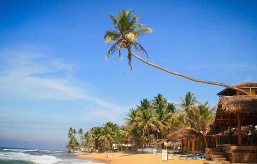 Splendours of Sri Lanka 2