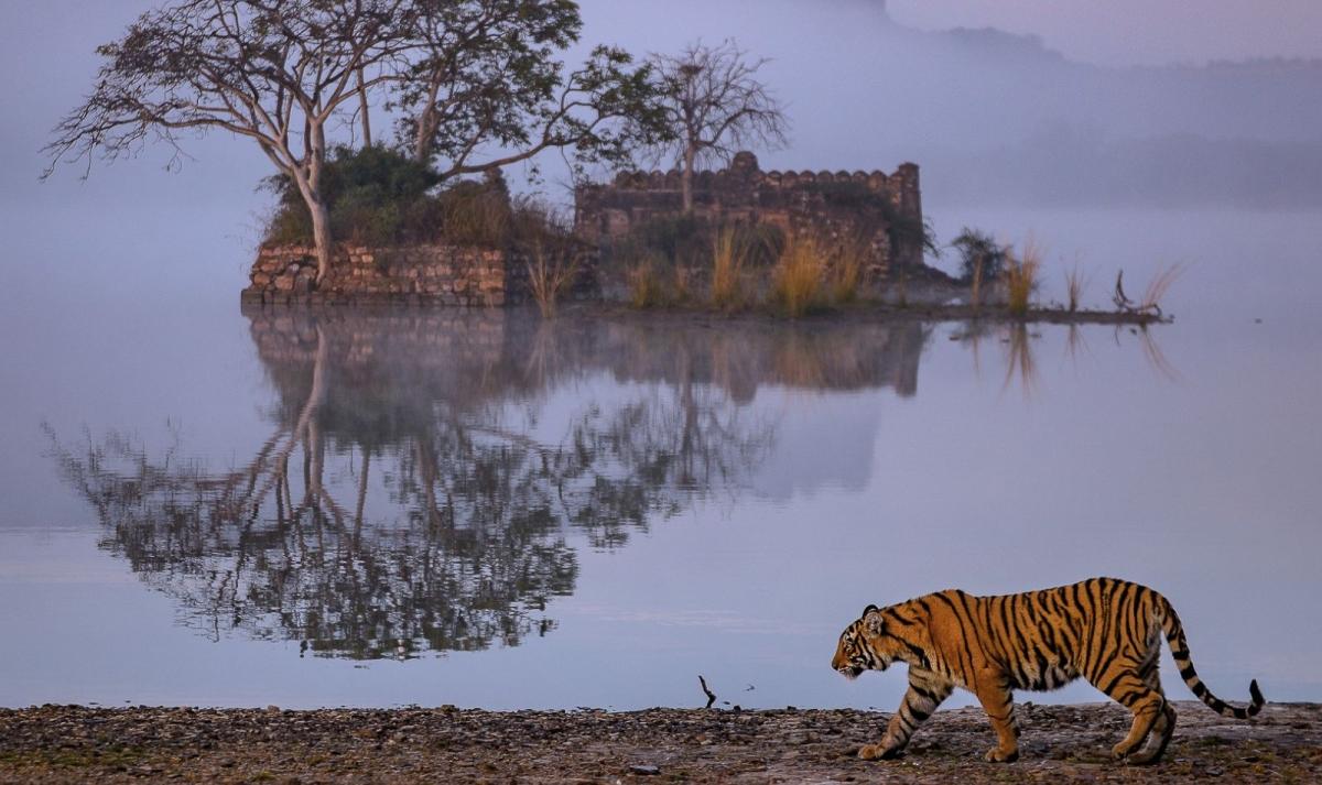 South & North India Tour South & North India Tour