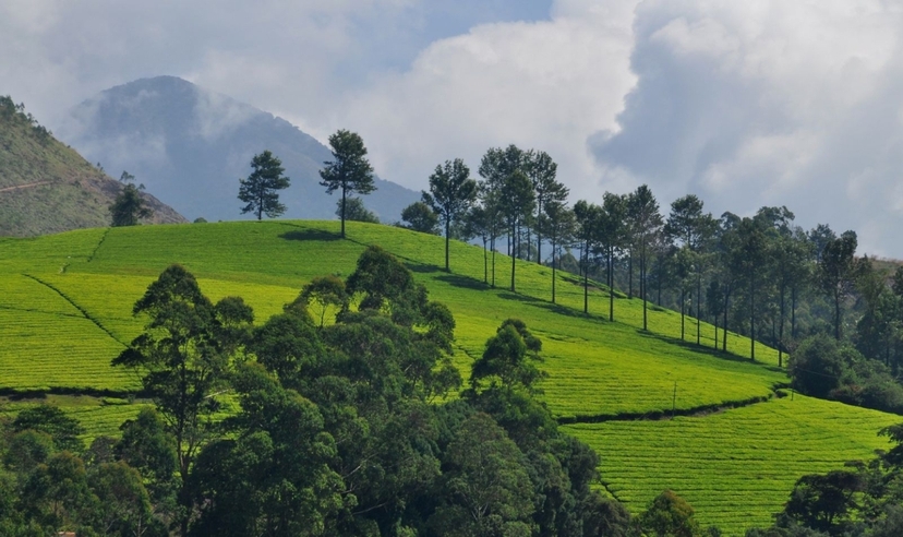 Tour of South India 2