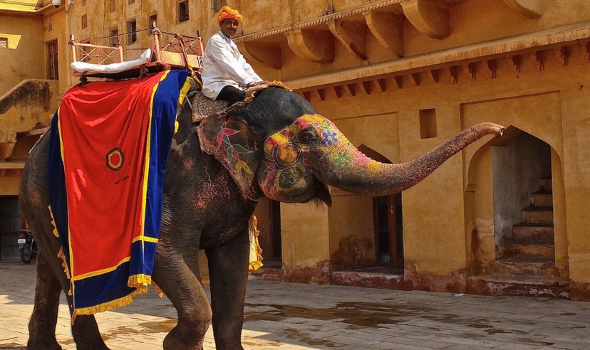 Rajasthan & Varanasi Cultural Immersion Tour 4