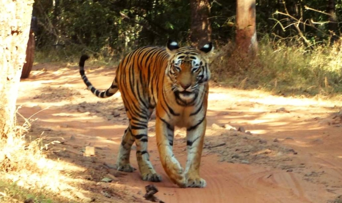 Rajasthan with Varanasi Tour 1