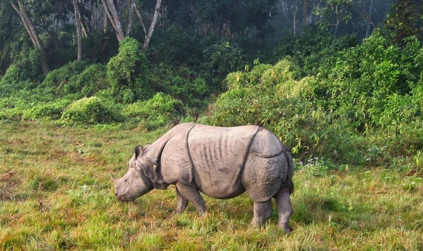 Glorious Nepal Tour 2